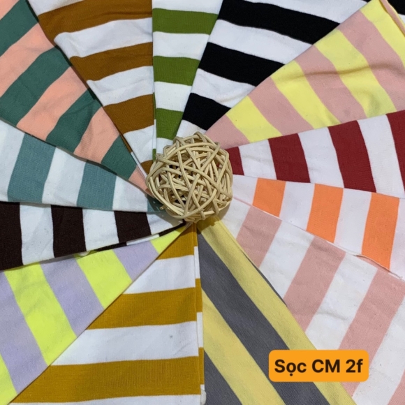 Sọc Cotton 2F